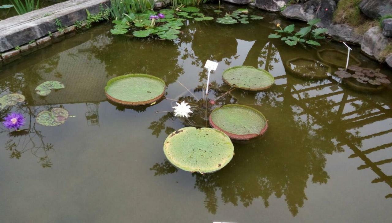 PingtungChinese Garden Housesアパートメント エクステリア 写真